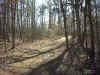 path10x7.jpg (368950 bytes)
