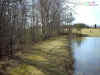 pond8x6.jpg (175773 bytes)